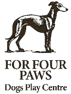  — Dogs Play Centre